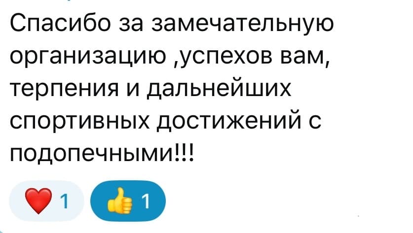 Скриншот отзыва родителя 2